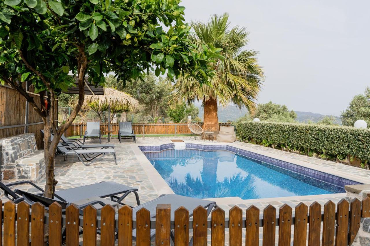 Dafni Villa A Place To Visit Orne Экстерьер фото